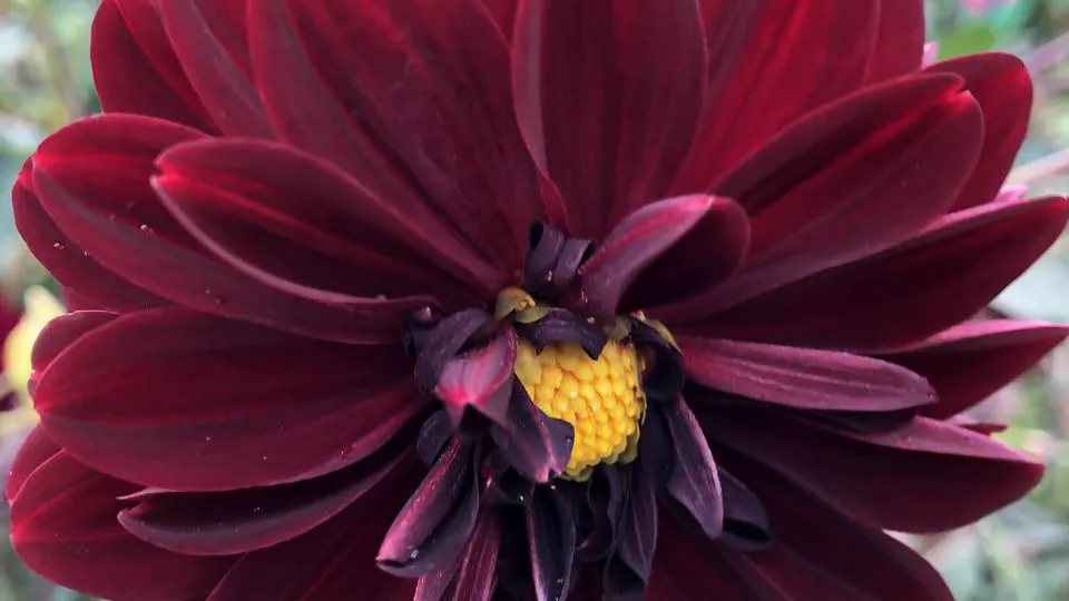 🌱 IT'S PLEASING TO BE DEPENDED ON 🪴