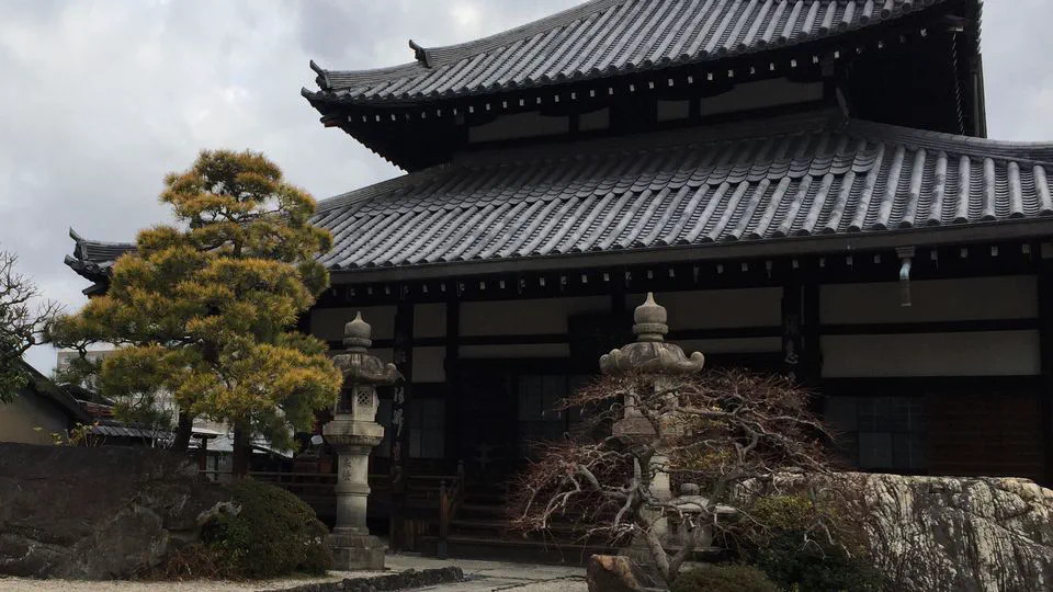 Learning to enjoy the process